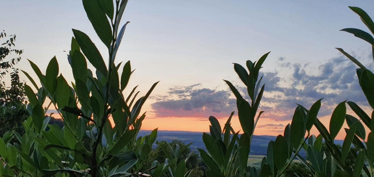 Ferienwohnung-Panoramablick-Kuessaberg Kussaberg Exteriör bild